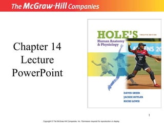 Copyright  ©  The McGraw-Hill Companies, Inc. Permission required for reproduction or display. Chapter 14 Lecture PowerPoint 