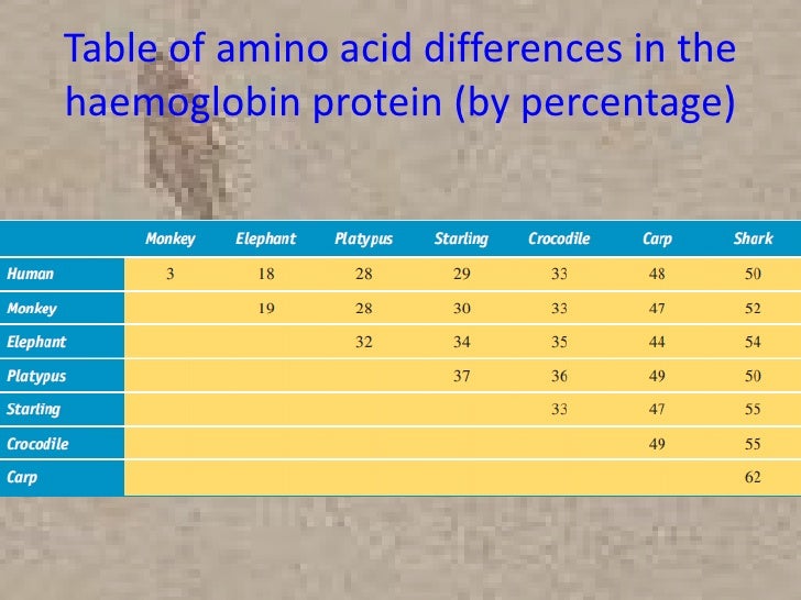 Amino Acid Sequences Indicators Of Evolution - lasopaso
