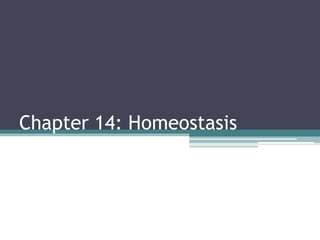 Chapter 14: Homeostasis
 