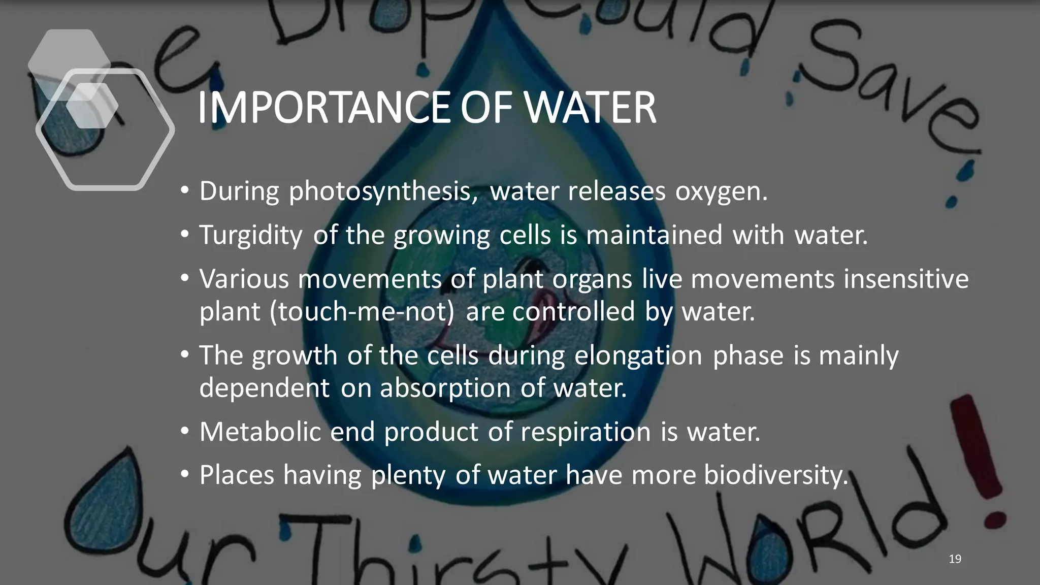 IMPORTANCE OF WATER
• During photosynthesis, water releases oxygen.
• Turgidity of the growing cells is maintained with water.
• Various movements of plant organs live movements insensitive
plant (touch-me-not) are controlled by water.
• The growth of the cells during elongation phase is mainly
dependent on absorption of water.
• Metabolic end product of respiration is water.
• Places having plenty of water have more biodiversity.
19
 