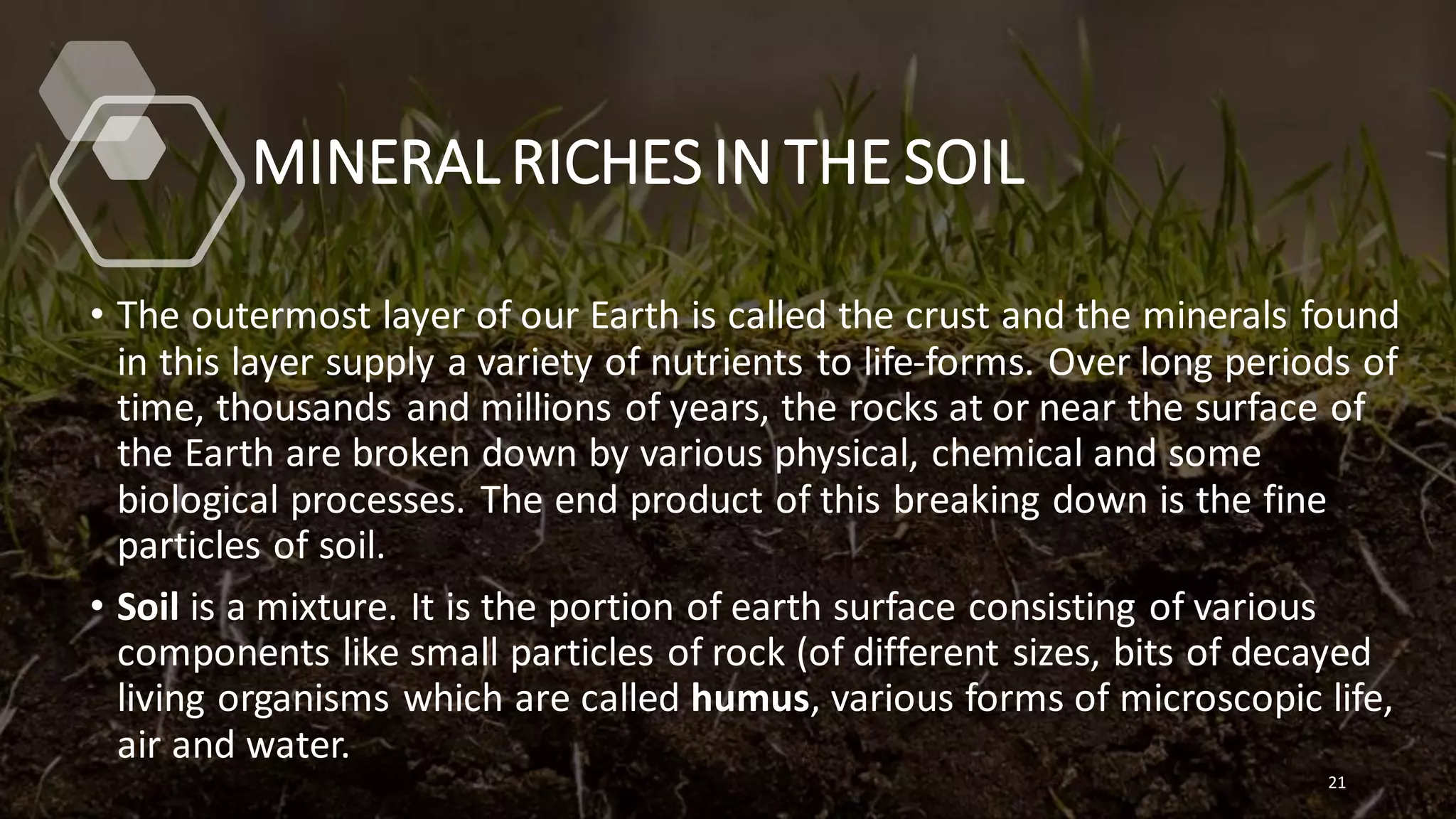 MINERAL RICHES IN THE SOIL
• The outermost layer of our Earth is called the crust and the minerals found
in this layer supply a variety of nutrients to life-forms. Over long periods of
time, thousands and millions of years, the rocks at or near the surface of
the Earth are broken down by various physical, chemical and some
biological processes. The end product of this breaking down is the fine
particles of soil.
• Soil is a mixture. It is the portion of earth surface consisting of various
components like small particles of rock (of different sizes, bits of decayed
living organisms which are called humus, various forms of microscopic life,
air and water.
21
 