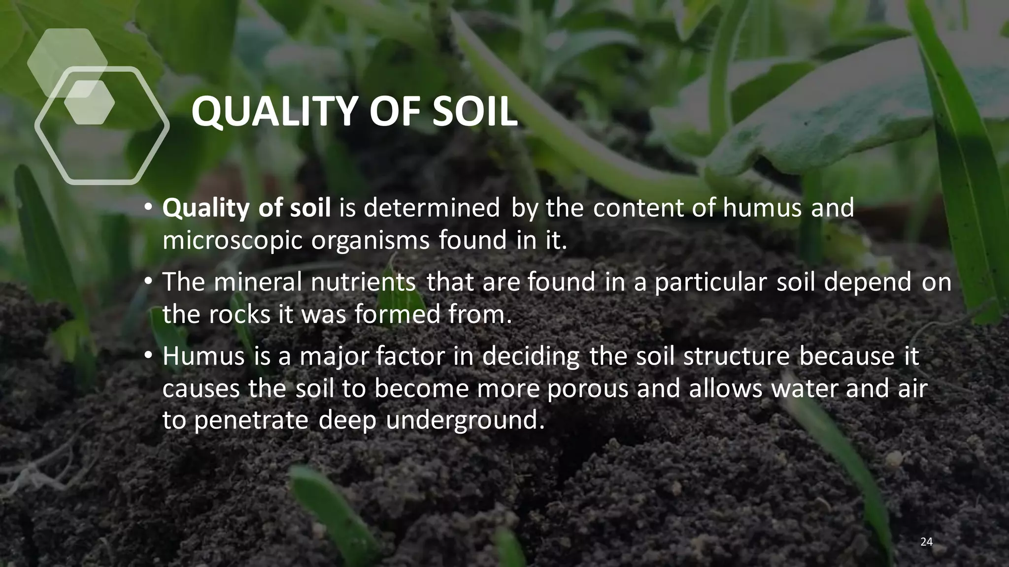 QUALITY OF SOIL
• Quality of soil is determined by the content of humus and
microscopic organisms found in it.
• The mineral nutrients that are found in a particular soil depend on
the rocks it was formed from.
• Humus is a major factor in deciding the soil structure because it
causes the soil to become more porous and allows water and air
to penetrate deep underground.
24
 