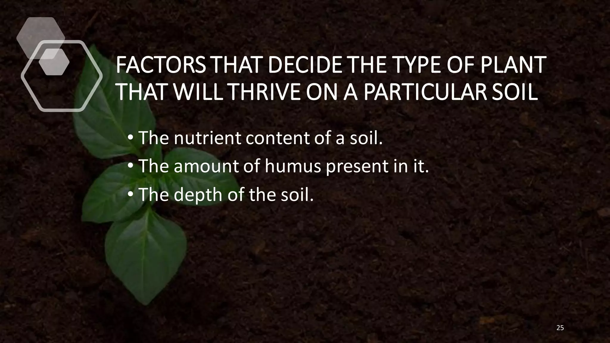FACTORS THAT DECIDE THE TYPE OF PLANT
THAT WILL THRIVE ON A PARTICULAR SOIL
• The nutrient content of a soil.
• The amount of humus present in it.
• The depth of the soil.
25
 