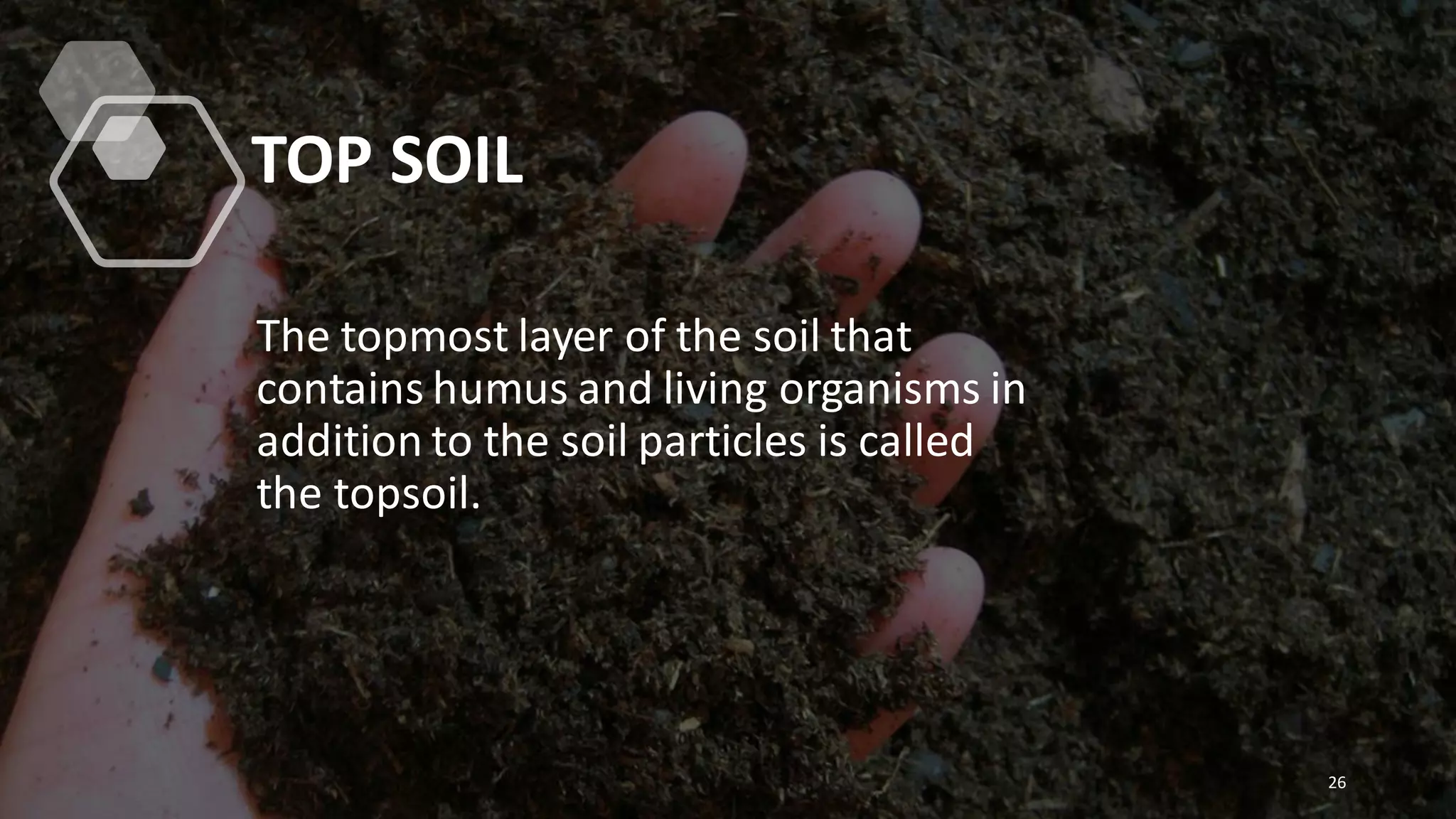TOP SOIL
The topmost layer of the soil that
contains humus and living organisms in
addition to the soil particles is called
the topsoil.
26
 