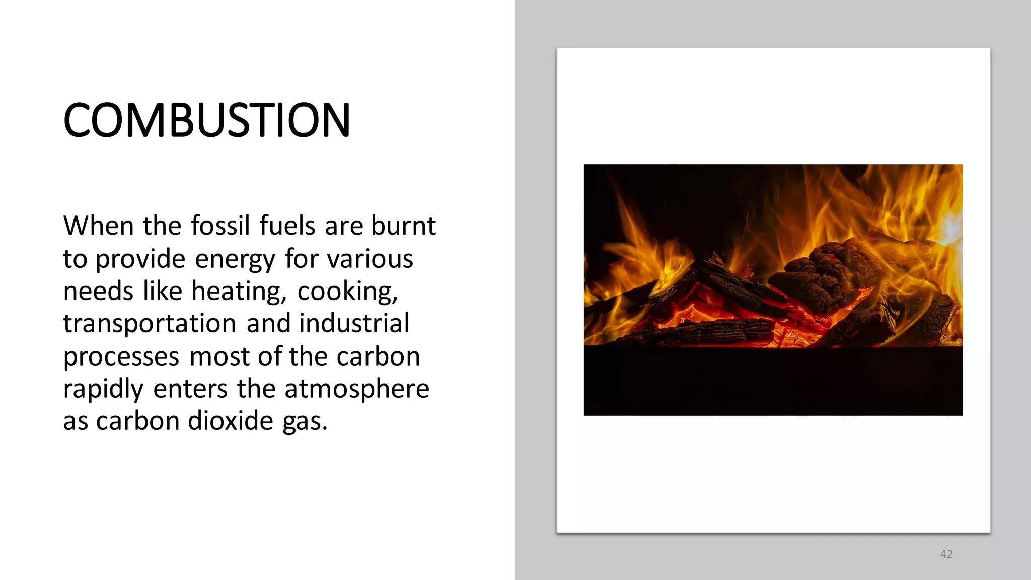 COMBUSTION
When the fossil fuels are burnt
to provide energy for various
needs like heating, cooking,
transportation and industrial
processes most of the carbon
rapidly enters the atmosphere
as carbon dioxide gas.
42
 