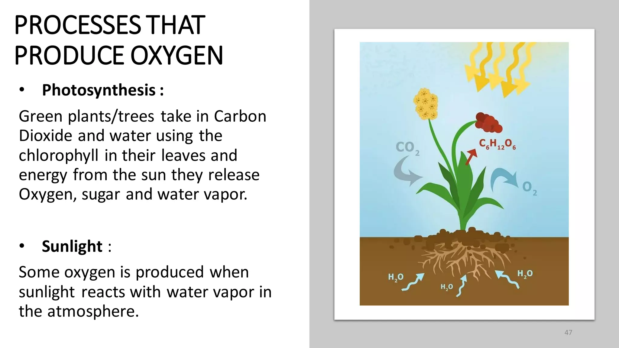 PROCESSES THAT
PRODUCE OXYGEN
• Photosynthesis :
Green plants/trees take in Carbon
Dioxide and water using the
chlorophyll in their leaves and
energy from the sun they release
Oxygen, sugar and water vapor.
• Sunlight :
Some oxygen is produced when
sunlight reacts with water vapor in
the atmosphere.
47
 