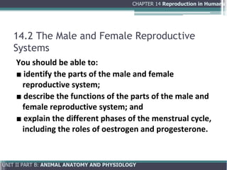 Comprehensive Overview of Human Reproduction: Anatomy, Physiology, and ...