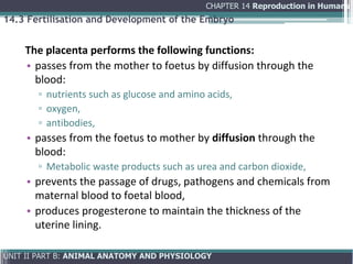 Comprehensive Overview of Human Reproduction: Anatomy, Physiology, and ...