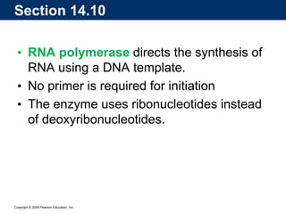 Copyright © 2009 Pearson Education, Inc.
• RNA polymerase directs the synthesis of
RNA using a DNA template.
• No primer is required for initiation
• The enzyme uses ribonucleotides instead
of deoxyribonucleotides.
Section 14.10
 