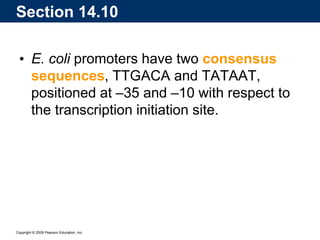 Copyright © 2009 Pearson Education, Inc.
• E. coli promoters have two consensus
sequences, TTGACA and TATAAT,
positioned at –35 and –10 with respect to
the transcription initiation site.
Section 14.10
 