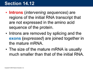 Copyright © 2009 Pearson Education, Inc.
• Introns (intervening sequences) are
regions of the initial RNA transcript that
are not expressed in the amino acid
sequence of the protein.
• Introns are removed by splicing and the
exons (expressed) are joined together in
the mature mRNA.
• The size of the mature mRNA is usually
much smaller than that of the initial RNA.
Section 14.12
 
