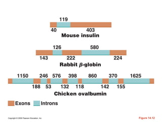 Copyright © 2009 Pearson Education, Inc. Figure 14.12
 