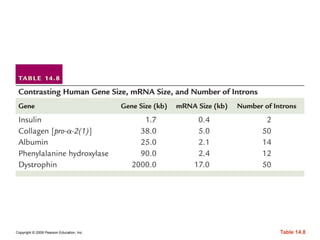 Copyright © 2009 Pearson Education, Inc. Table 14.8
 