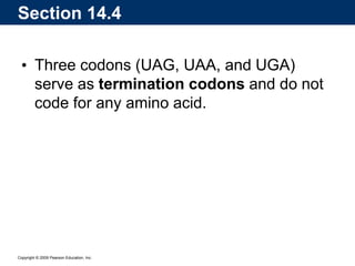 Copyright © 2009 Pearson Education, Inc.
• Three codons (UAG, UAA, and UGA)
serve as termination codons and do not
code for any amino acid.
Section 14.4
 