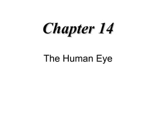 The Human Eye Chapter 14 