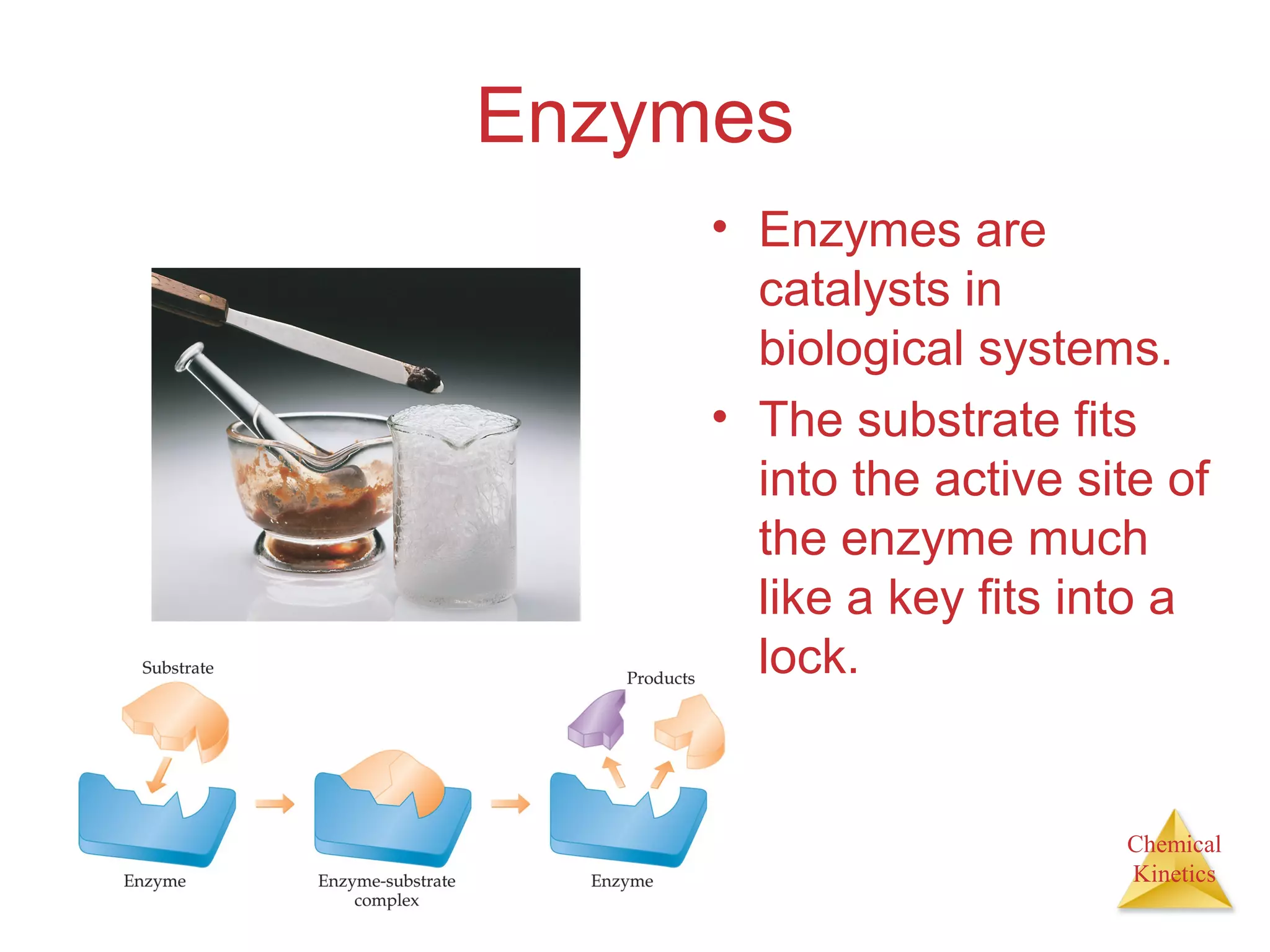 Chemical
Kinetics
Enzymes
• Enzymes are
catalysts in
biological systems.
• The substrate fits
into the active site of
the enzyme much
like a key fits into a
lock.
 