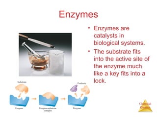 Chemical
Kinetics
Enzymes
• Enzymes are
catalysts in
biological systems.
• The substrate fits
into the active site of
the enzyme much
like a key fits into a
lock.
 
