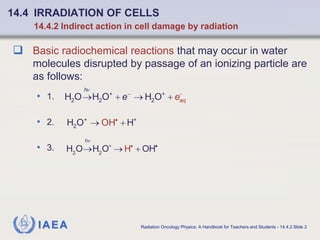 ref iaea Chapter_14_Basic_Radiobiology.pdf