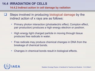 ref iaea Chapter_14_Basic_Radiobiology.pdf