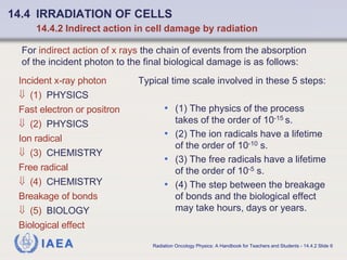 ref iaea Chapter_14_Basic_Radiobiology.pdf