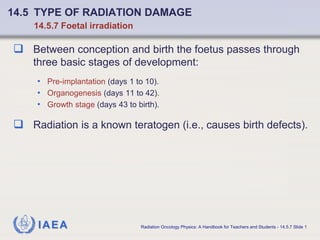ref iaea Chapter_14_Basic_Radiobiology.pdf