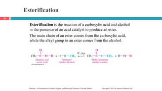 Chapter 14 Carboxylic Acids, Esters, Amines, and Amides.ppt
