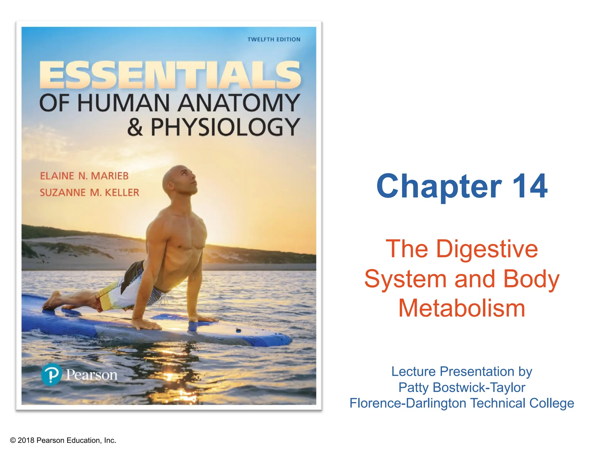 Anatomy and Physiology CHAPTER 14 Digestive System.pdf