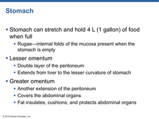 Anatomy and Physiology CHAPTER 14 Digestive System.pdf