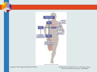 Copyright © 2007 Lippincott Williams & Wilkins. McArdle, Katch, and Katch: Exercise Physiology: Energy,
Nutrition, and Human Performance, Sixth Edition
 