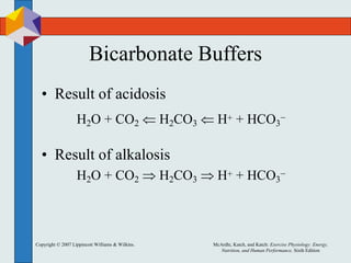 Copyright © 2007 Lippincott Williams & Wilkins. McArdle, Katch, and Katch: Exercise Physiology: Energy,
Nutrition, and Human Performance, Sixth Edition
Bicarbonate Buffers
• Result of acidosis
H2O + CO2  H2CO3  H+ + HCO3
−
• Result of alkalosis
H2O + CO2  H2CO3  H+ + HCO3
−
 