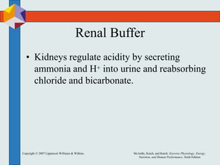 Copyright © 2007 Lippincott Williams & Wilkins. McArdle, Katch, and Katch: Exercise Physiology: Energy,
Nutrition, and Human Performance, Sixth Edition
Renal Buffer
• Kidneys regulate acidity by secreting
ammonia and H+ into urine and reabsorbing
chloride and bicarbonate.
 
