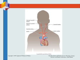 Copyright © 2007 Lippincott Williams & Wilkins. McArdle, Katch, and Katch: Exercise Physiology: Energy,
Nutrition, and Human Performance, Sixth Edition
 