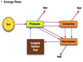 • Energy flow:
• Sun is the only source of energy for all ecosystem.
• Plants capture only 2 to 10% of photosynthetically
active radiation(PAR) for photosynthesis.
• Energy is transferred in ecosystem in the form of food.
• "Flow of energy is unidirectional but nutrient flow is in
a cycle"
• Energy flow is always from the sun to 'producers' and
to the different trophic levels. so it is unidirectional. But
the nutrients are moving from the living to non-living
and vice-versa.
• Major energy is used for metabolic activity. Only less
amount of energy is stored as biomass.
• Lindeman’s 10% law:
• Only 10 per cent of the energy is transferred to each
trophic level from lower trophic levels is called 10% law
 