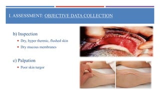 Endocrine Emergencies