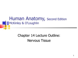 Human Anatomy,  Second Edition McKinley & O'Loughlin Chapter 14 Lecture Outline: Nervous Tissue 