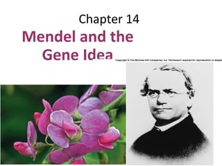 Chapter 14
Mendel and the
Gene Idea
 