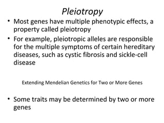 Chapter 14: Mendel and Genes | PPT