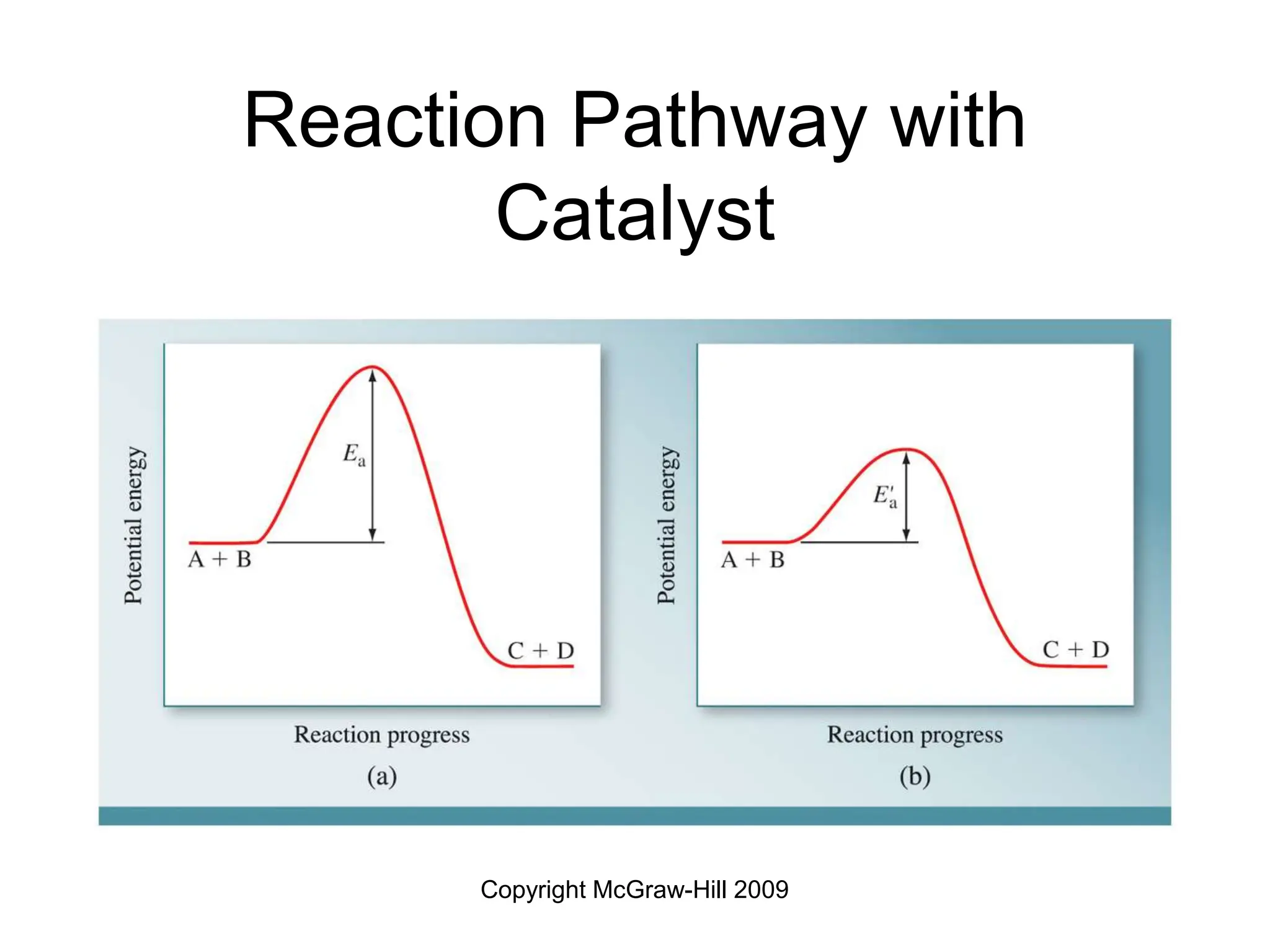 Copyright McGraw-Hill 2009
Reaction Pathway with
Catalyst
 