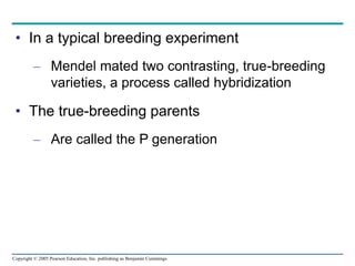 Copyright © 2005 Pearson Education, Inc. publishing as Benjamin Cummings
• In a typical breeding experiment
– Mendel mated two contrasting, true-breeding
varieties, a process called hybridization
• The true-breeding parents
– Are called the P generation
 
