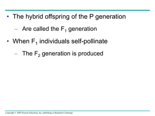 Copyright © 2005 Pearson Education, Inc. publishing as Benjamin Cummings
• The hybrid offspring of the P generation
– Are called the F1 generation
• When F1 individuals self-pollinate
– The F2 generation is produced
 