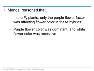 Copyright © 2005 Pearson Education, Inc. publishing as Benjamin Cummings
• Mendel reasoned that
– In the F1 plants, only the purple flower factor
was affecting flower color in these hybrids
– Purple flower color was dominant, and white
flower color was recessive
 