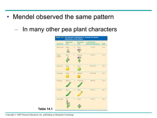 Copyright © 2005 Pearson Education, Inc. publishing as Benjamin Cummings
• Mendel observed the same pattern
– In many other pea plant characters
Table 14.1
 