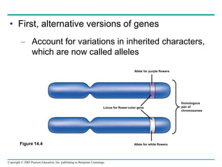 Copyright © 2005 Pearson Education, Inc. publishing as Benjamin Cummings
• First, alternative versions of genes
– Account for variations in inherited characters,
which are now called alleles
Figure 14.4
Allele for purple flowers
Locus for flower-color gene
Homologous
pair of
chromosomes
Allele for white flowers
 