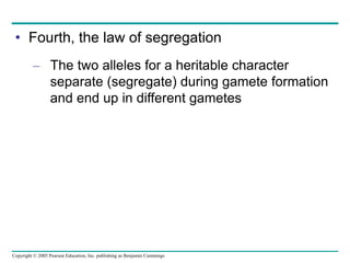 Copyright © 2005 Pearson Education, Inc. publishing as Benjamin Cummings
• Fourth, the law of segregation
– The two alleles for a heritable character
separate (segregate) during gamete formation
and end up in different gametes
 