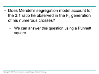 Copyright © 2005 Pearson Education, Inc. publishing as Benjamin Cummings
• Does Mendel’s segregation model account for
the 3:1 ratio he observed in the F2 generation
of his numerous crosses?
– We can answer this question using a Punnett
square
 