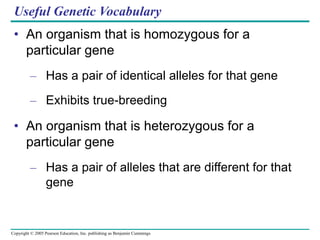 Copyright © 2005 Pearson Education, Inc. publishing as Benjamin Cummings
Useful Genetic Vocabulary
• An organism that is homozygous for a
particular gene
– Has a pair of identical alleles for that gene
– Exhibits true-breeding
• An organism that is heterozygous for a
particular gene
– Has a pair of alleles that are different for that
gene
 