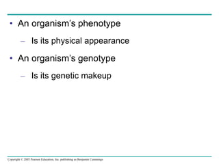 Copyright © 2005 Pearson Education, Inc. publishing as Benjamin Cummings
• An organism’s phenotype
– Is its physical appearance
• An organism’s genotype
– Is its genetic makeup
 