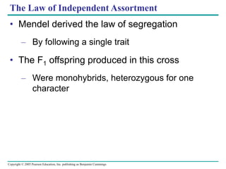 Copyright © 2005 Pearson Education, Inc. publishing as Benjamin Cummings
The Law of Independent Assortment
• Mendel derived the law of segregation
– By following a single trait
• The F1 offspring produced in this cross
– Were monohybrids, heterozygous for one
character
 