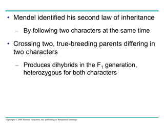Copyright © 2005 Pearson Education, Inc. publishing as Benjamin Cummings
• Mendel identified his second law of inheritance
– By following two characters at the same time
• Crossing two, true-breeding parents differing in
two characters
– Produces dihybrids in the F1 generation,
heterozygous for both characters
 