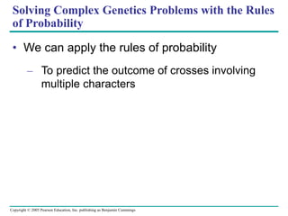 Copyright © 2005 Pearson Education, Inc. publishing as Benjamin Cummings
Solving Complex Genetics Problems with the Rules
of Probability
• We can apply the rules of probability
– To predict the outcome of crosses involving
multiple characters
 